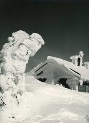 Winterimpression im Schwarzwald