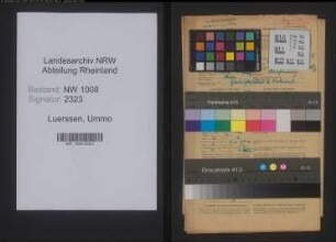 Entnazifizierung Ummo Luerssen , geb. 09.09.1897 (Kaufmann)