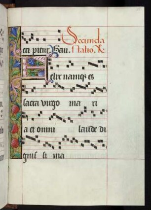 Bordüre, Zierintiale: F(elix namque)