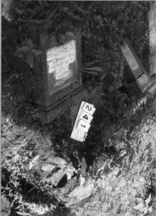Grabstein 241 (Index: 100095829) Maße HxBxT: 145x52x20 cm Symbolik: Hände der Treue: Grabstein 241