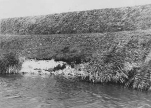 Uferschutz am Mittellandkanal