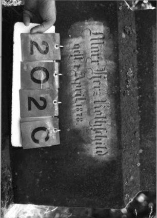 Grabstein 202 (Index: 99795968) Maße HxBxT: 172x54x17 cm Symbolik: Blüte: Grabstein 202C
