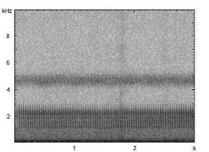 Ziegenmelker | Caprimulgus europaeus - Ruf, Gesang