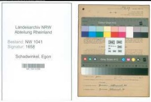 Entnazifizierung Egon Schadwinkel , geb. 01.03.1903 (Arbeiter)