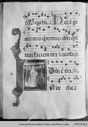 Codex M - Codice M
