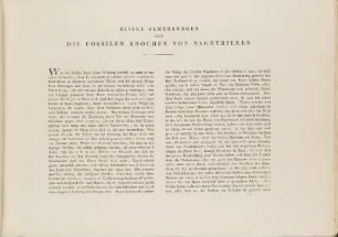 Einige Bemerkungen Über Fossilen Knochen Von Nagethieren.