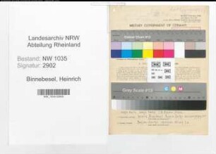Entnazifizierung Heinrich Binnebesel , geb. 08.10.1889 (Kaufmaennischer Angestellter)