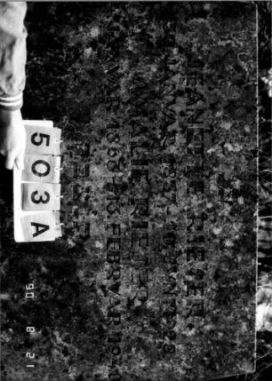 Grabstein 503A