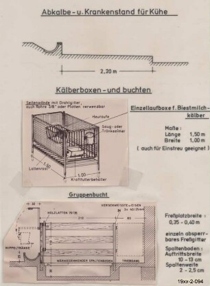 Abkalbe- und Krankenstand für Kühe