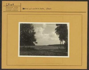 Blick aus Schleife auf Halbendorf vom Ostrand des Großteichdammes : Wuhlad wot wulkeho hata w Slepom na Brězowku.