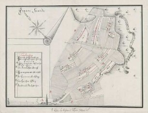 Figura secunda