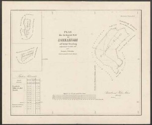 Plan über den Gemeinde-Wald von Scheringen auf dortiger Gemarkung