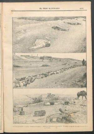 Actualidades [de la guerra civil chilena]. : [1.] Despojos humanos. - [2.] - Cadáveres listos para la cremación. [3.] - El campo de batalla después de la acción .de Placilla