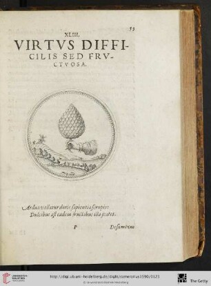 XLIII. Virtvs difficilis sed frvctvosa
