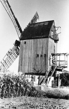 Groß Rodensleben. Bockmühle