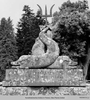 Peschiera, Santa Fiora