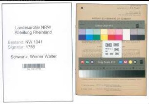 Entnazifizierung Werner Walter Schwartz , geb. 01.02.1904 (Fabrikant)