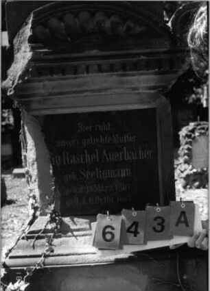Grabstein 643 [Hahn S. 36 Grab-Nr. 593]: Grabstein 643A [Hahn S. 36 Grab-Nr. 593]
