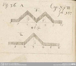 Fig: 36. A Cap: XVIII. fol: 157.