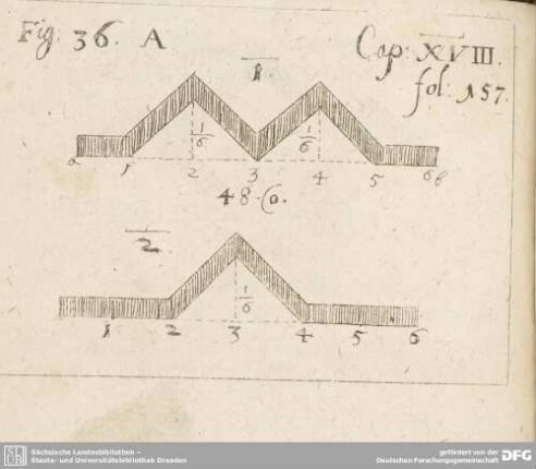 Fig: 36. A Cap: XVIII. fol: 157.