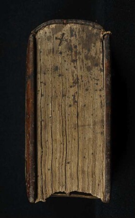 Supplementum Summae Pisanellae