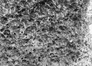 Nahansicht von Riffresten : Die Nahansicht von Riffresten am Strand der Matakumbe Islands