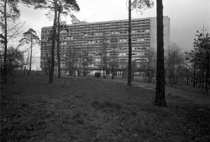 Berlin: Le Corbusier-Haus; Vordergrund Kiefern