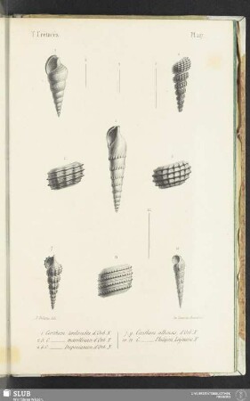 Pl. 227