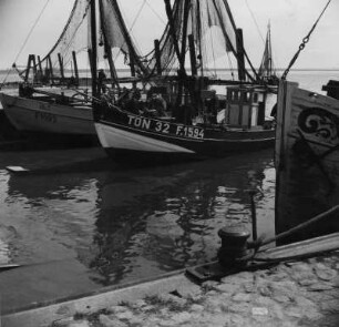 Kutter liegen zur Ausfahrt bereit, Tönning, Schlei- und Eidermündung