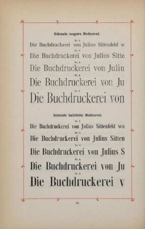 Schmale magere Mediaeval ; Schmale halbfette Mediaeval