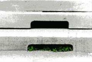 Grünes Unkraut zwischen grauen Steinplatten (Sonderthema: Umweltschutz - Umweltzerstörung)