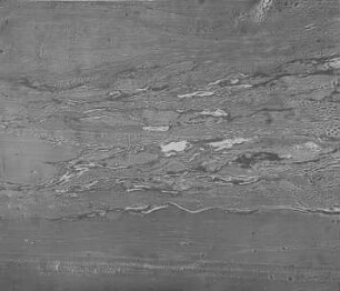 Glänzende Kohle (Jeffrey) : Geologie | Kohlengeologie | Das mikroskopische Bild der Kohle (Mikroskopische Kohlenpetrographie)