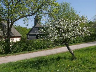 Apfelbaum Sorte: Ontarioapfel - Baum 79