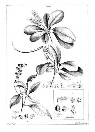 Tab 23
