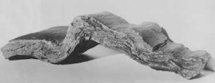 Detailfaltung einer Glimmerschicht (Stoces) : Geologie | Tektonik | Faltung