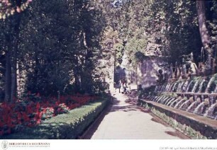 Villa d'Este, Allee der hundert Brunnen / Viale delle Cento Cannelle