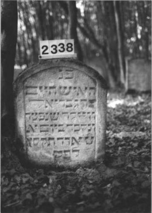 Grabstein 2338