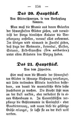 Das 21. Hauptstück. Von dem Zipperlein