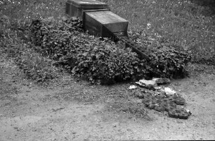 Freiburg: Alter Friedhof; Grabsschändung, umgeworfene Grabkreuze