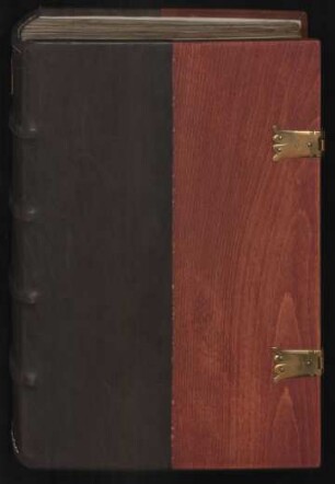 Liber privilegiorum Sancti Petri Erfordensis : Ms. boruss. fol. 81