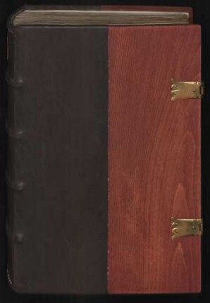 Liber privilegiorum Sancti Petri Erfordensis : Ms. boruss. fol. 81