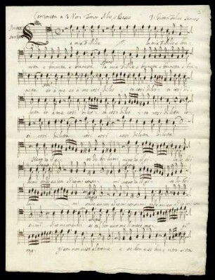 Tenor, Alto e Basso