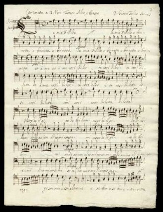 Tenor, Alto e Basso