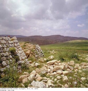 Israel: Schilo