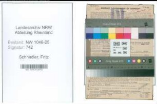 Entnazifizierung Fritz Schnedler , geb. 29.03.1888 (Steuerhelfer)