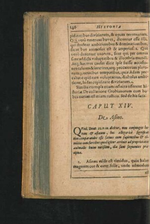 Caput XIV. De Asino.