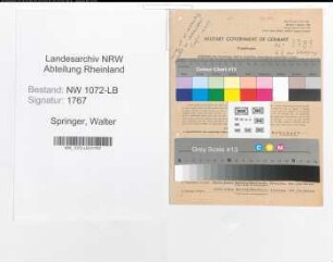 Entnazifizierung Walter Springer , geb. 14.10.1900 (Justizbeamter)