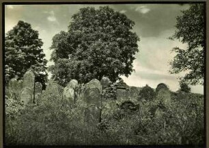 Bei Landau, alter jüdischer Friedhof, westl. Teil