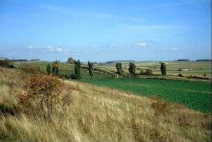 Landschaft am Schafholzberg südlich Blankenhains; Naturschutzgebiet