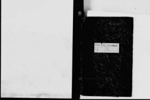 Journal Januar 1848 - Juli 1848 (Tagebücher)